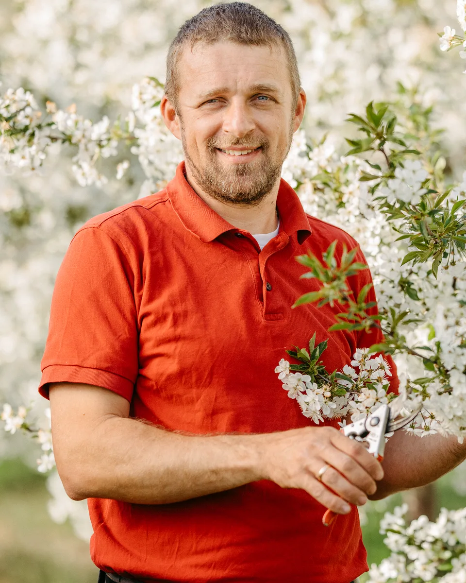 Dirk Zabel in der Obstblüte mit Baumschere